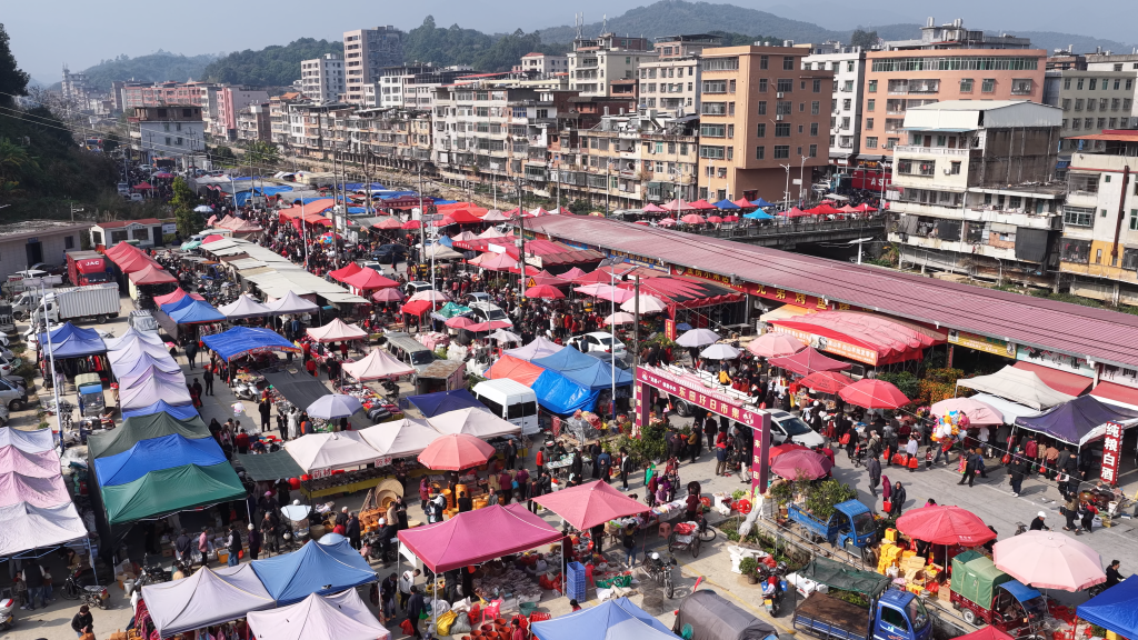 电子游戏不朽情缘网址|华彩真品牌|赶大集