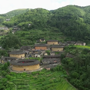 新华网