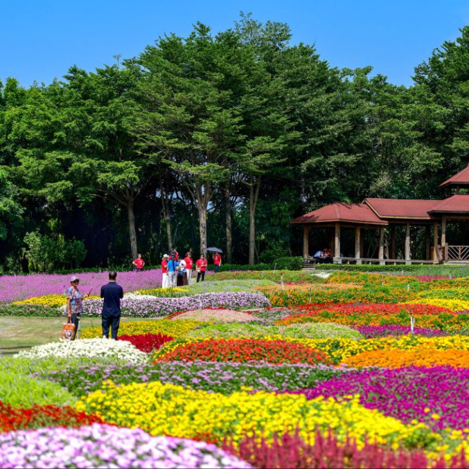 新华网