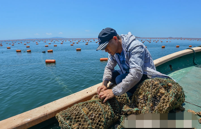 连江黄岐人口_连江黄岐旧照