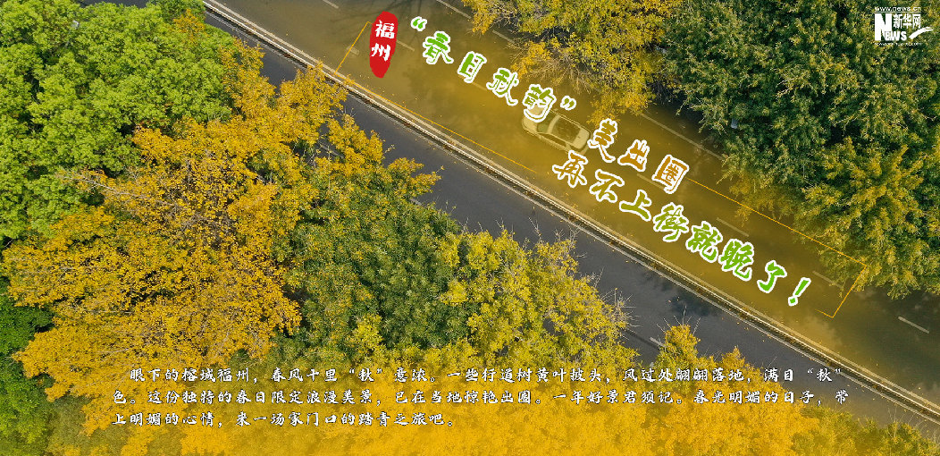 福州：“春日秋韵”美出圈，再不上街就晚了！